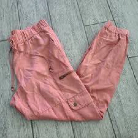 Banana Republic Pants - Banana Republic TENCEL™ CARGO JOGGER Size L - Like New Rose